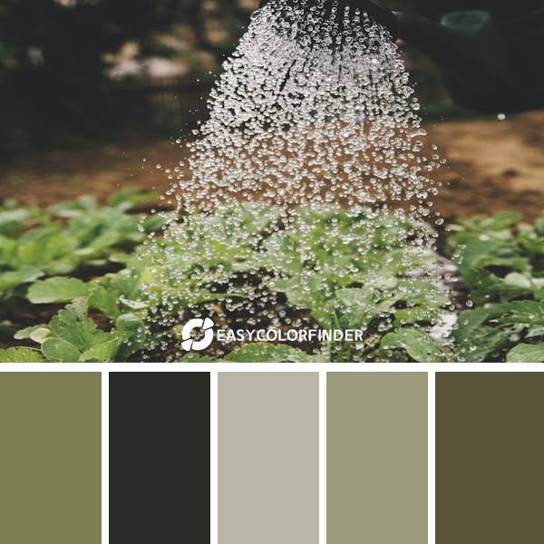 Support yourself – Urban Gardening – self-supply – self-sufficiency